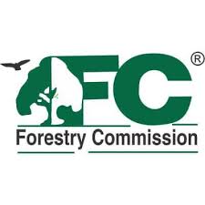 Forestry Commission Arrests 13 Ghanaians For Galamsey Activities In Boin Tano Forest Reserve.
