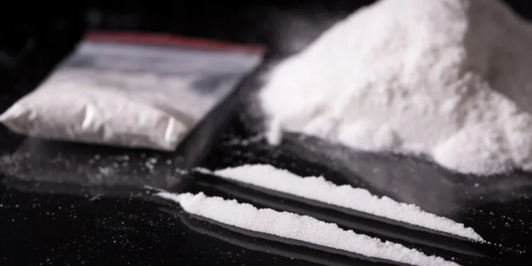 French cocaine seizure: Three suspects linked to ‘Bolle Jos’ network arrested – NACOC